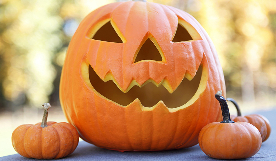 5 Things to Do on Halloween – Blog